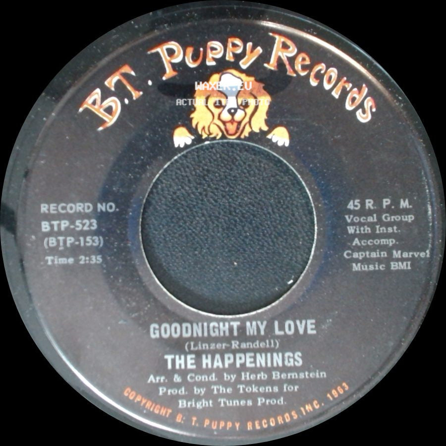 The Happenings - Goodnight My Love / Lillies By Monet side A