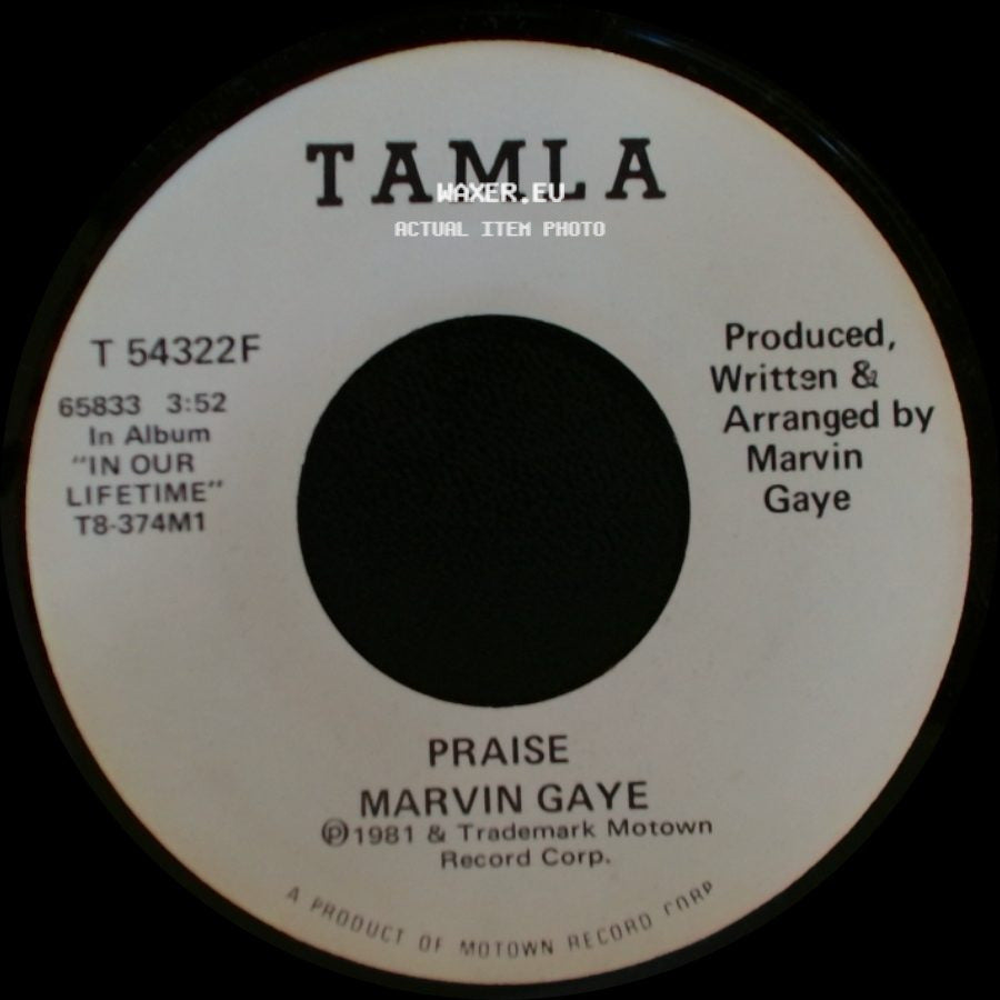 Marvin Gaye - Praise / Praise side B