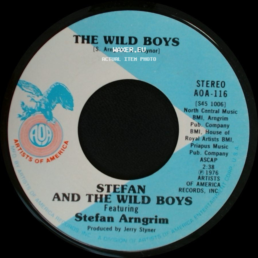 Stefan And The Wild Boys / Stefan And The Wild Boys Featuring Stefan Arngrim - The Wild Boys / Dying In St. Louis Gonna Make You Blue side A