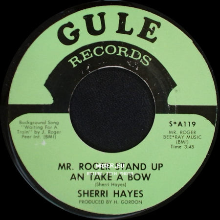 Sherri Hayes - Mr. Roger Stand Up An Take A Bow / A New Song side A
