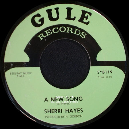 Sherri Hayes - Mr. Roger Stand Up An Take A Bow / A New Song side B