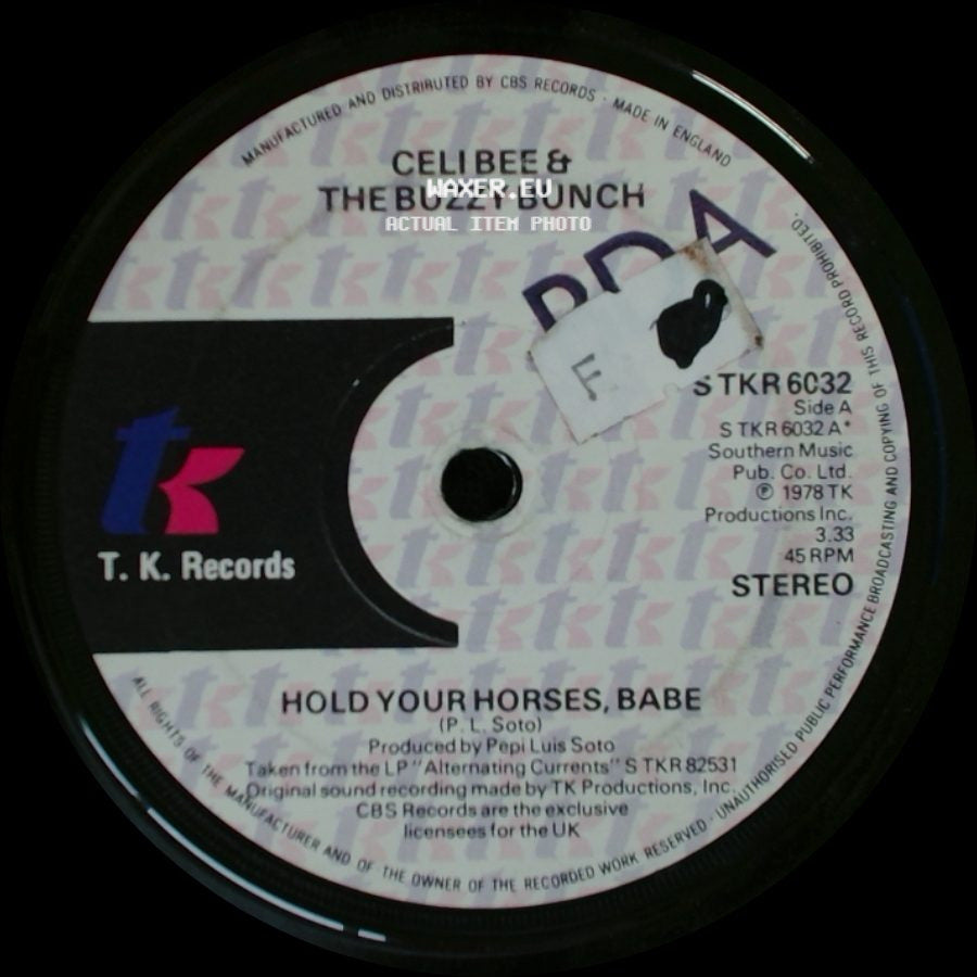 Celi Bee & The Buzzy Bunch - Hold Your Horses, Babe / Alternating Currents side A