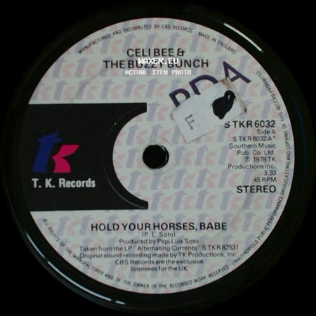 Celi Bee & The Buzzy Bunch - Hold Your Horses, Babe / Alternating Currents side A