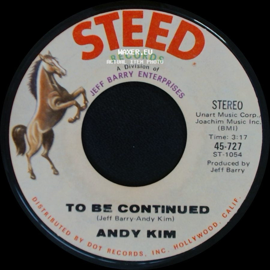 Andy Kim - To Be Continued / It's Your Life side A