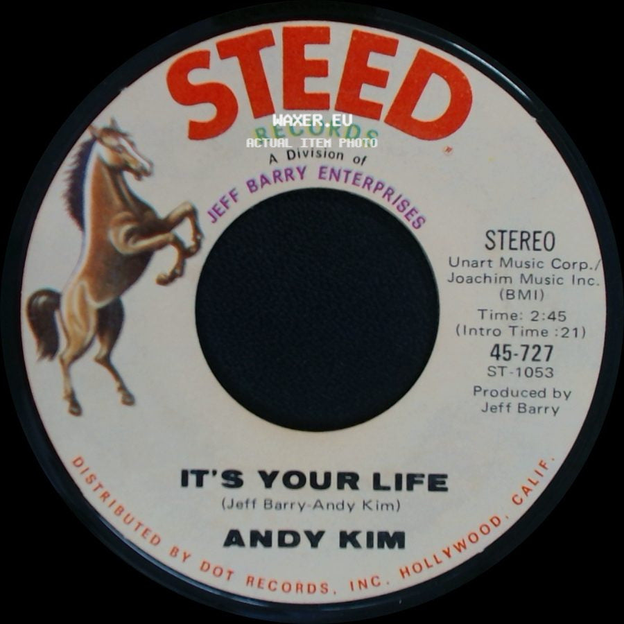 Andy Kim - To Be Continued / It's Your Life side B