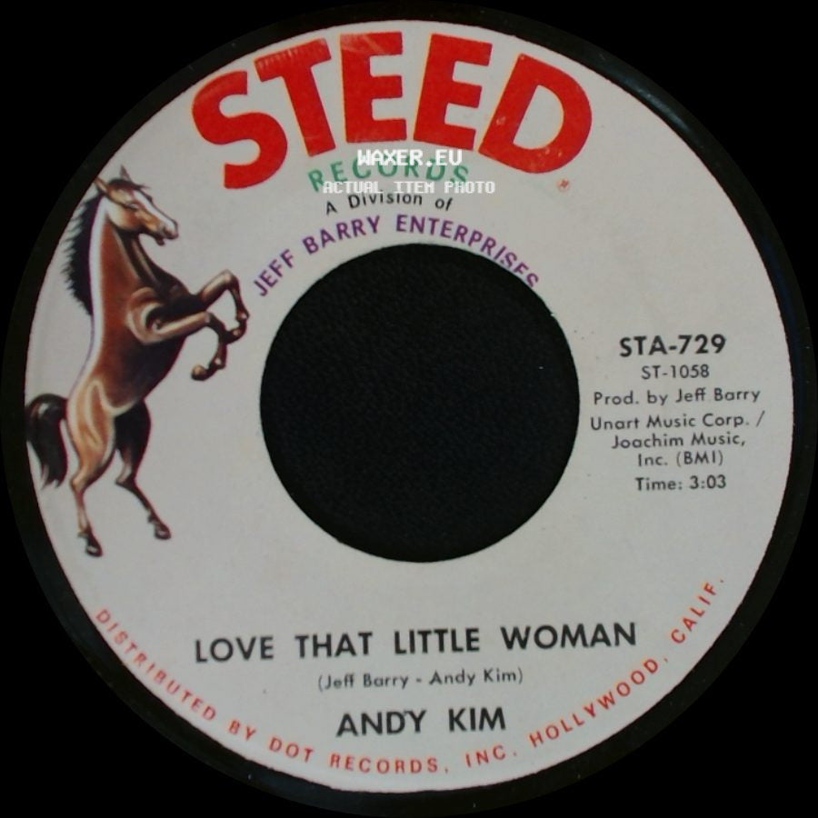 Andy Kim - Love That Little Woman / Be My Baby side A