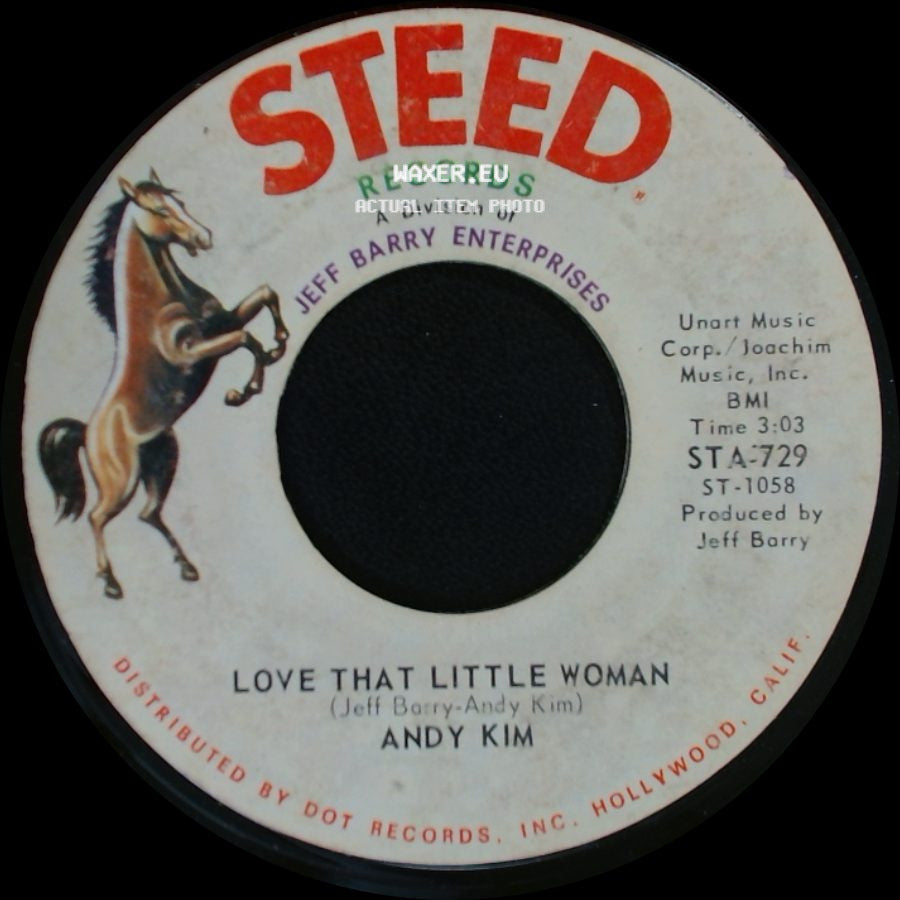 Andy Kim - Love That Little Woman / Be My Baby side A