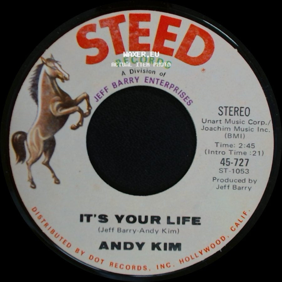 Andy Kim - It's Your Life / To Be Continued side A