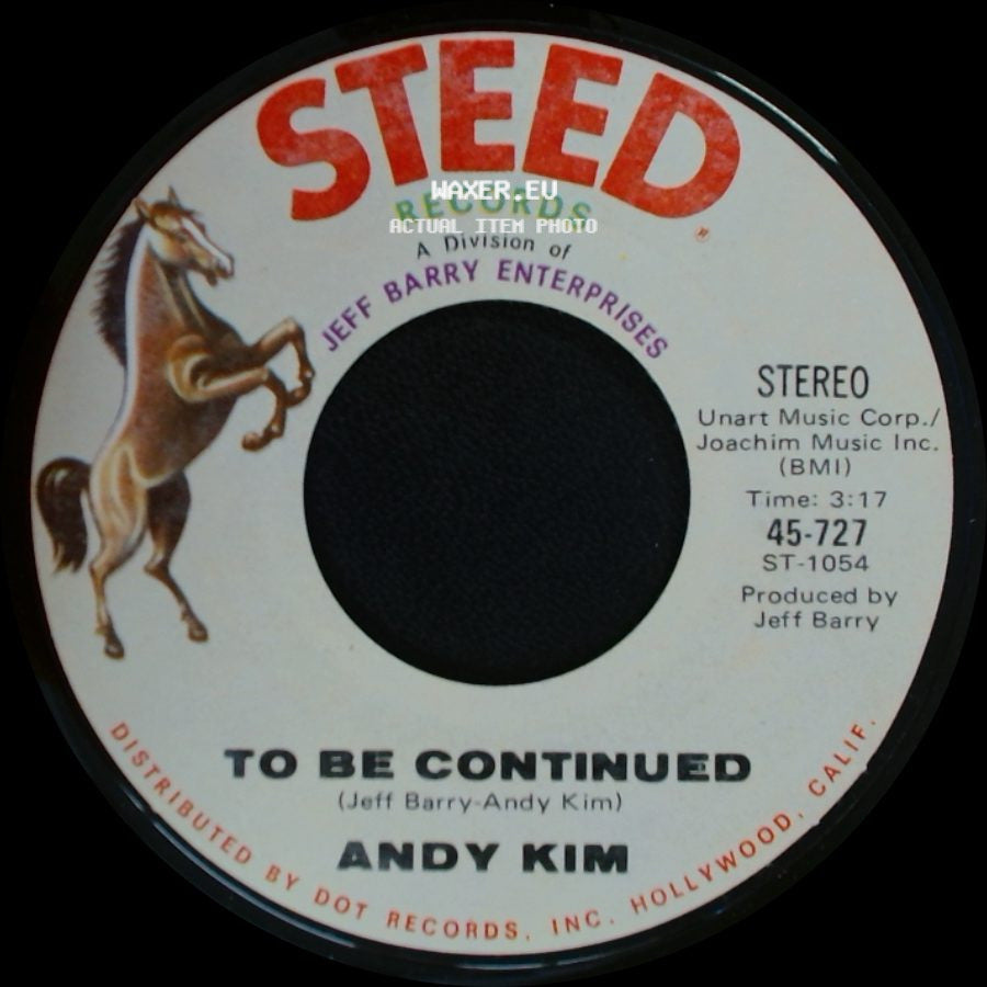 Andy Kim - It's Your Life / To Be Continued side B