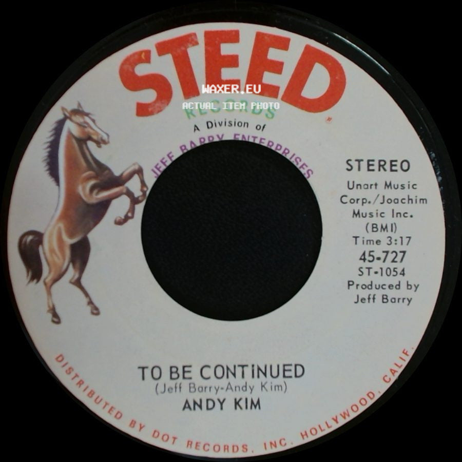 Andy Kim - To Be Continued / It's Your Life side A