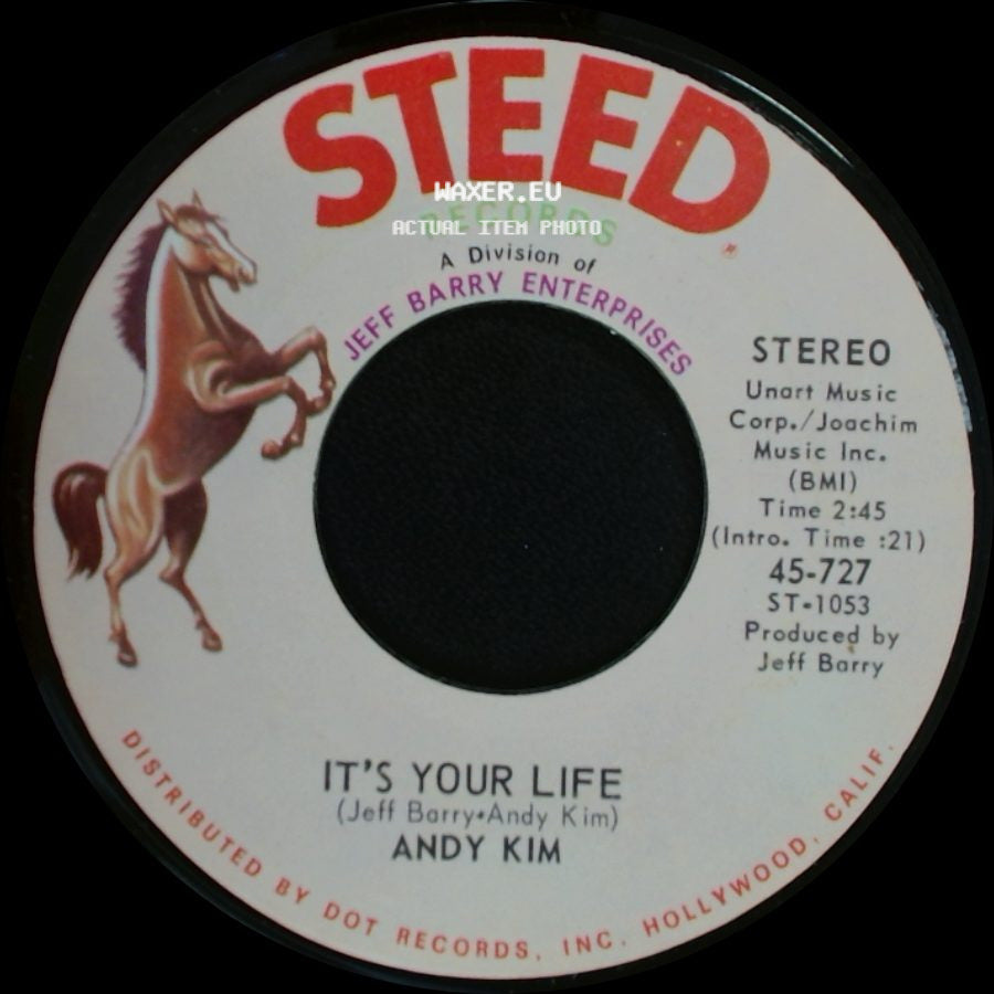 Andy Kim - To Be Continued / It's Your Life side B