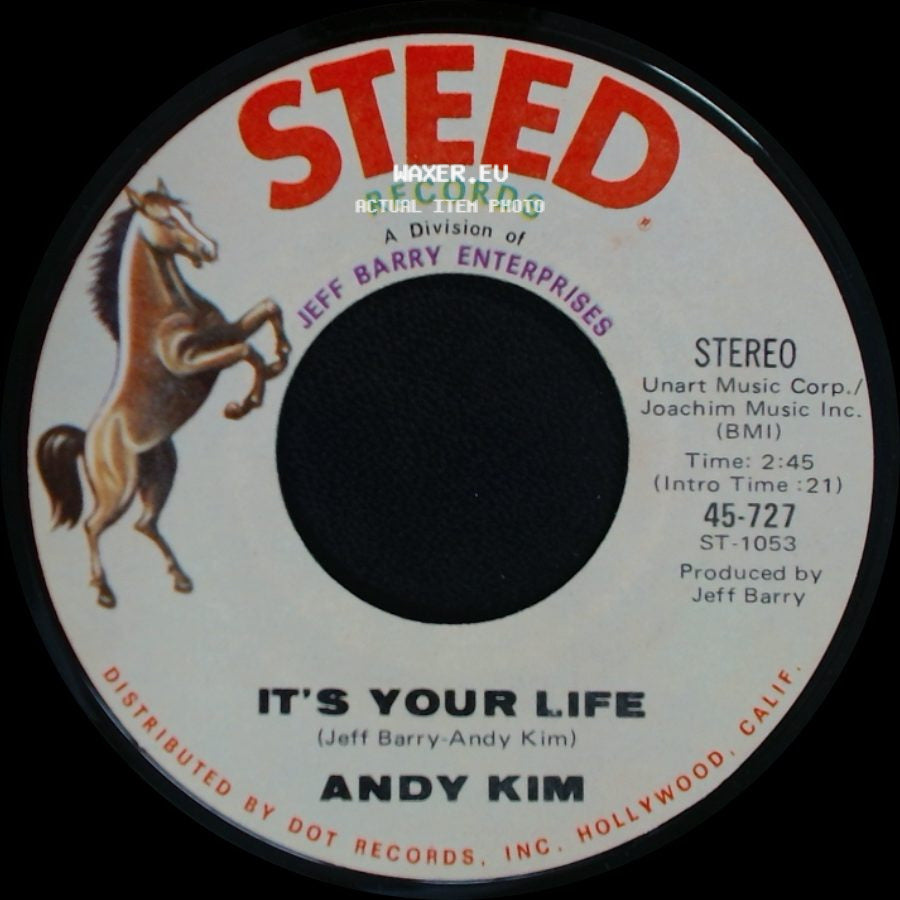 Andy Kim - It's Your Life / To Be Continued side A