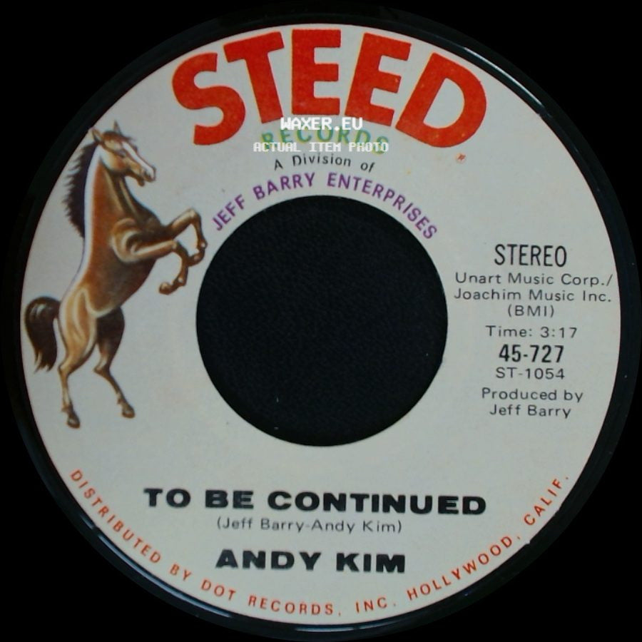 Andy Kim - It's Your Life / To Be Continued side B