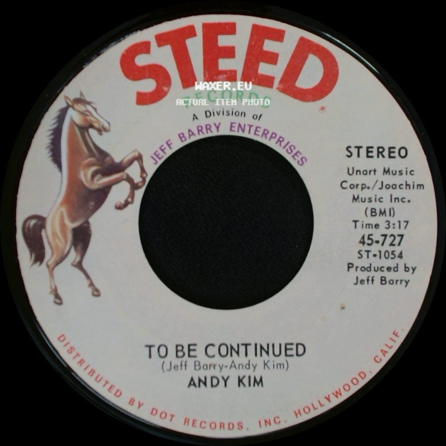 Andy Kim - It's Your Life / To Be Continued side B
