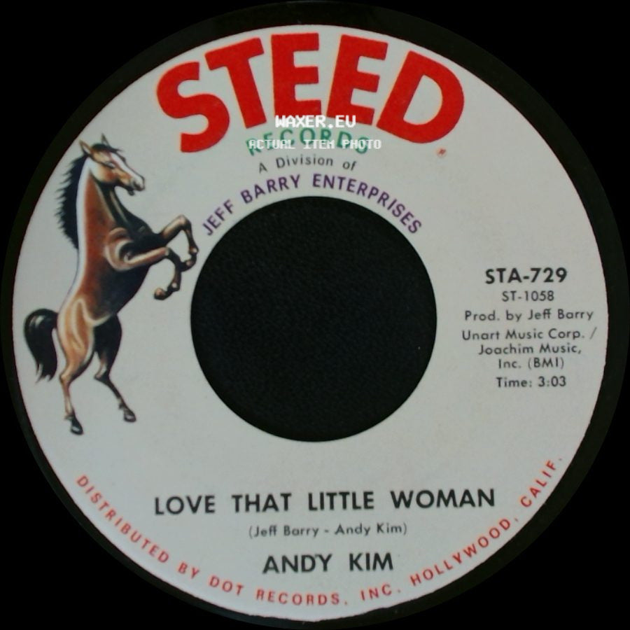 Andy Kim - Be My Baby / Love That Little Woman side B
