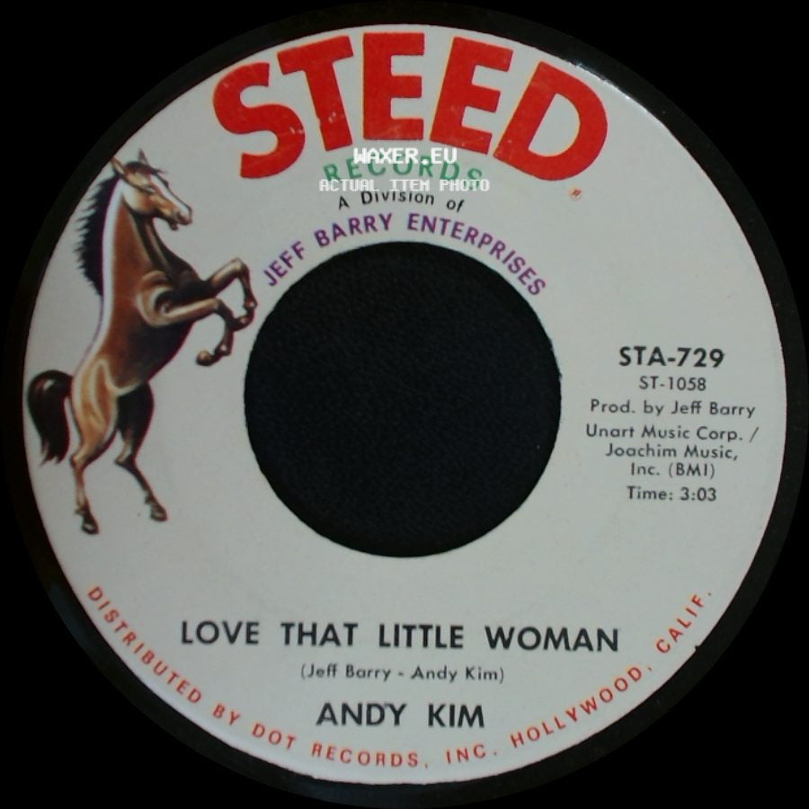 Andy Kim - Love That Little Woman / Be My Baby side A