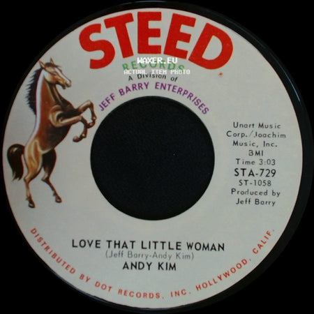 Andy Kim - Love That Little Woman / Be My Baby side A