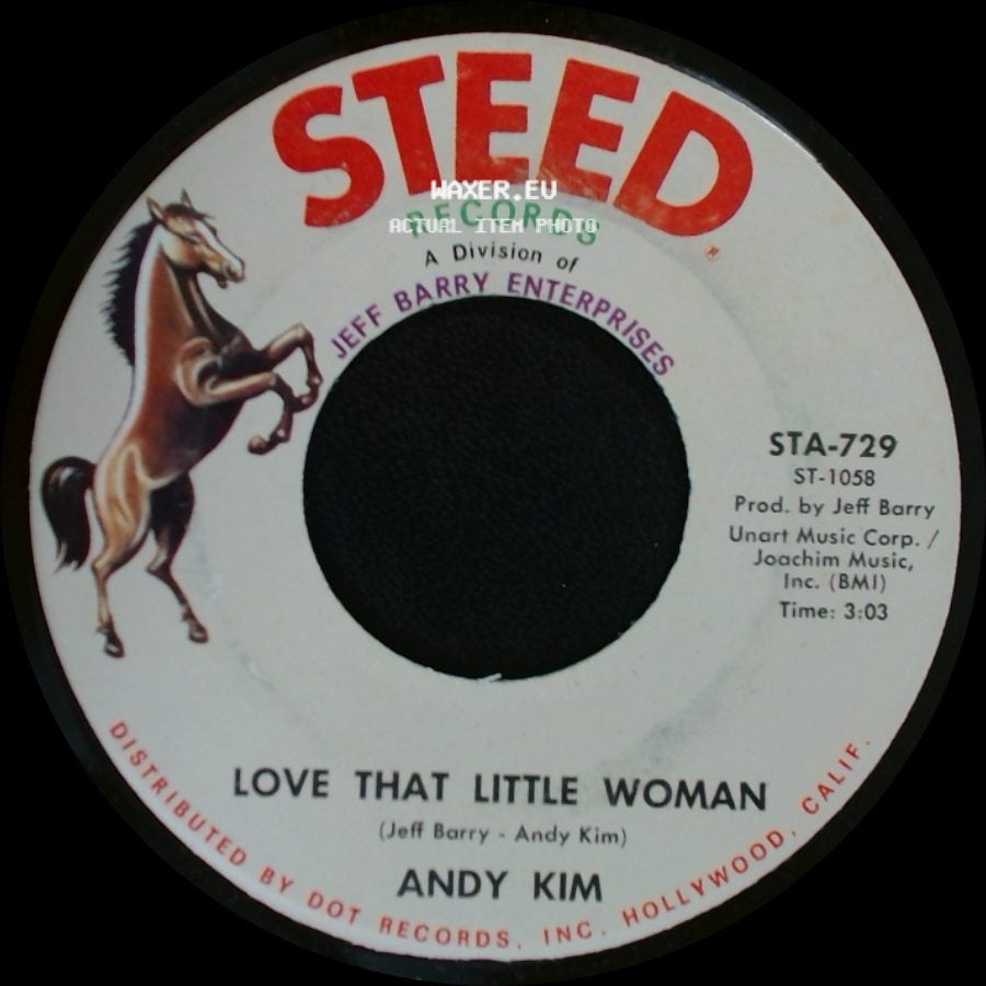 Andy Kim - Love That Little Woman / Be My Baby side A