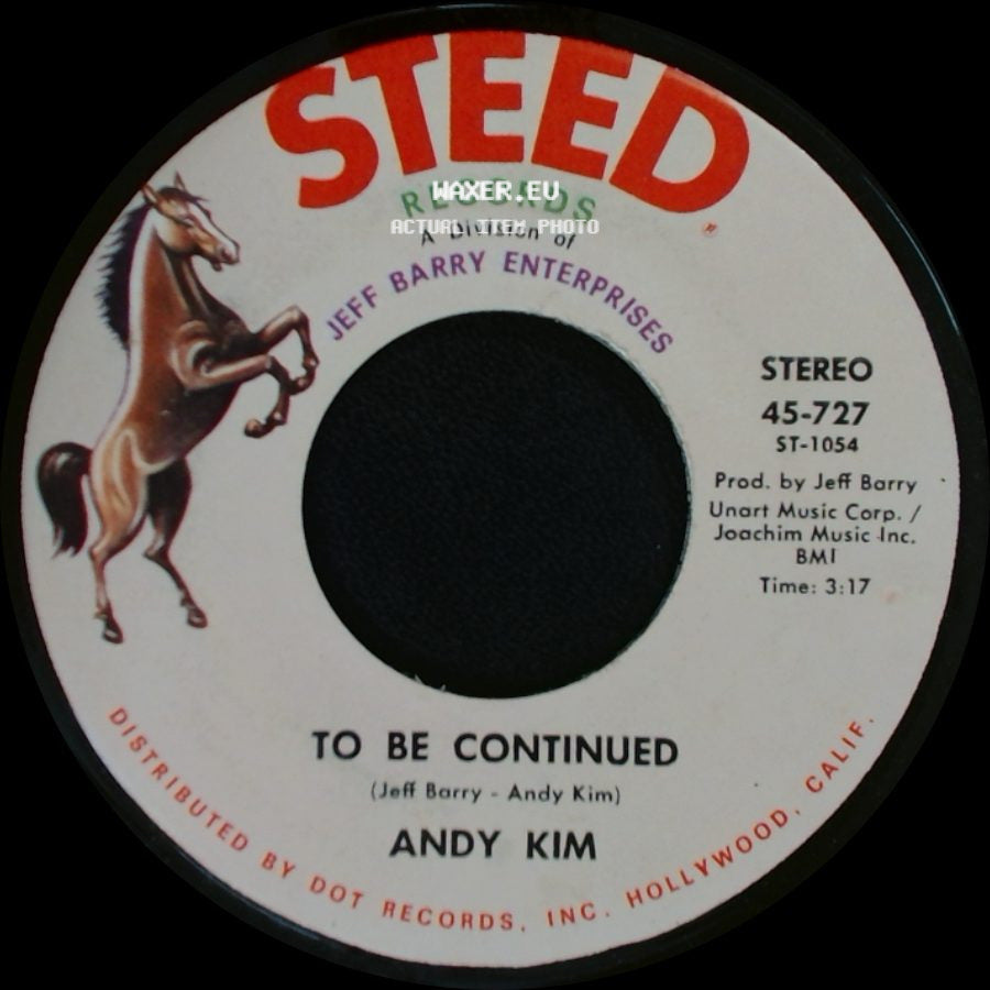 Andy Kim - To Be Continued / It's Your Life side A