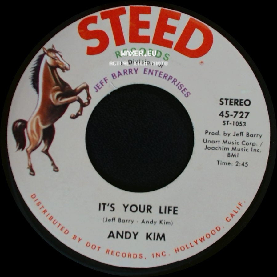 Andy Kim - To Be Continued / It's Your Life side B
