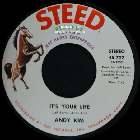 Andy Kim - To Be Continued / It's Your Life side B