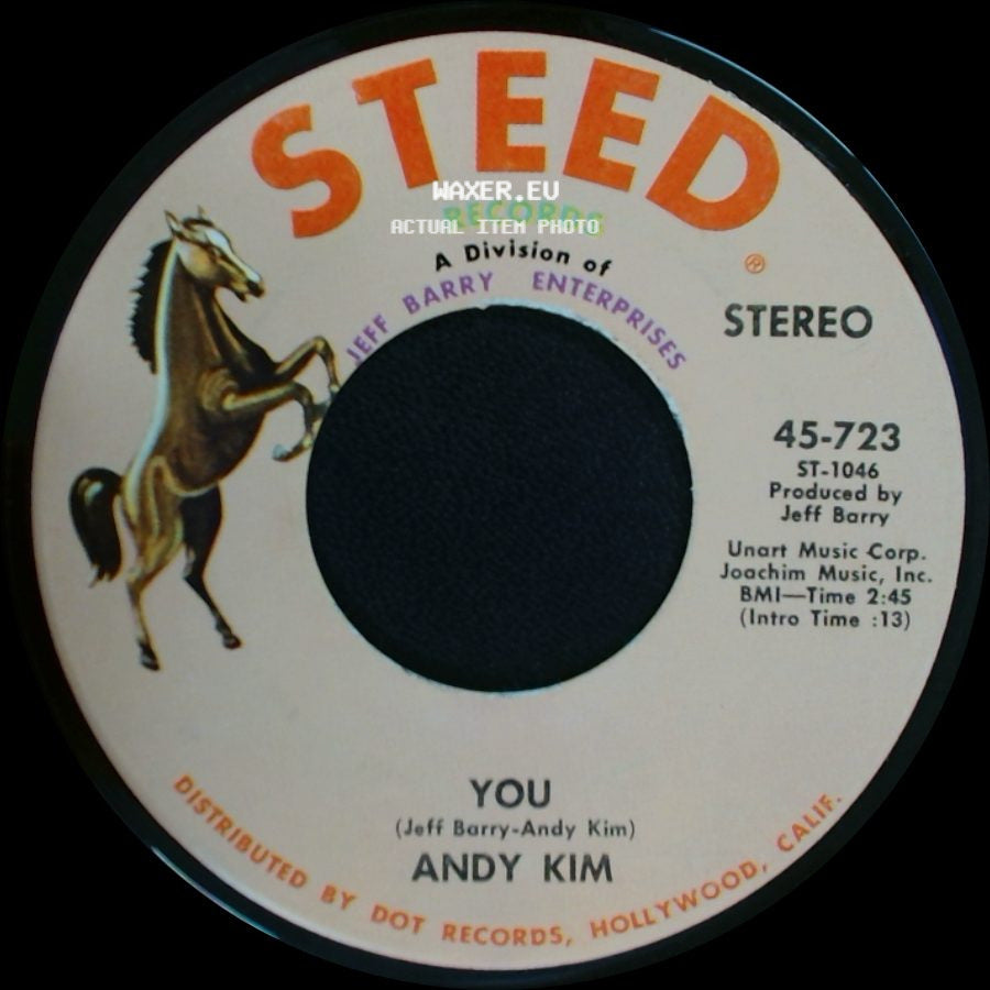 Andy Kim - A Friend In The City / You side B