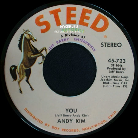 Andy Kim - A Friend In The City / You side B