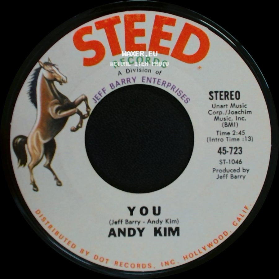 Andy Kim - A Friend In The City / You side B