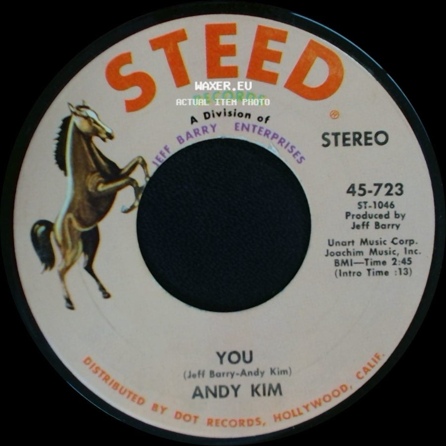 Andy Kim - You / A Friend In The City side A