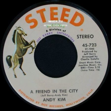 Andy Kim - A Friend In The City / You side A