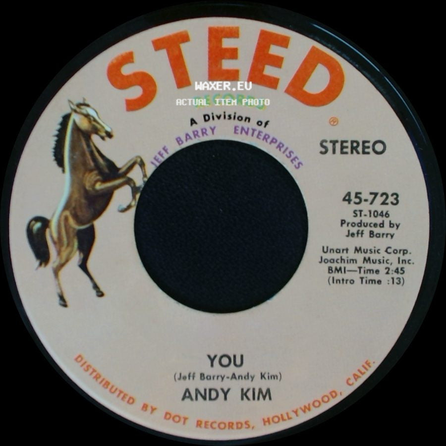 Andy Kim - A Friend In The City / You side B