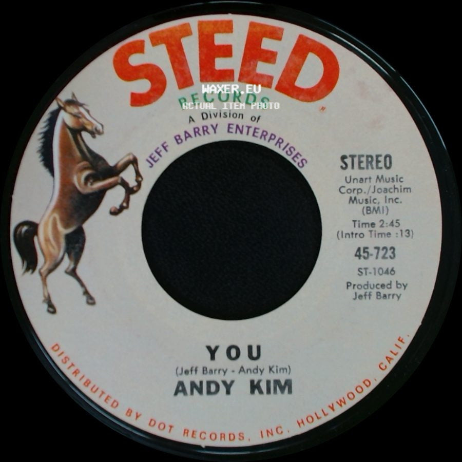 Andy Kim - You / A Friend In The City side A