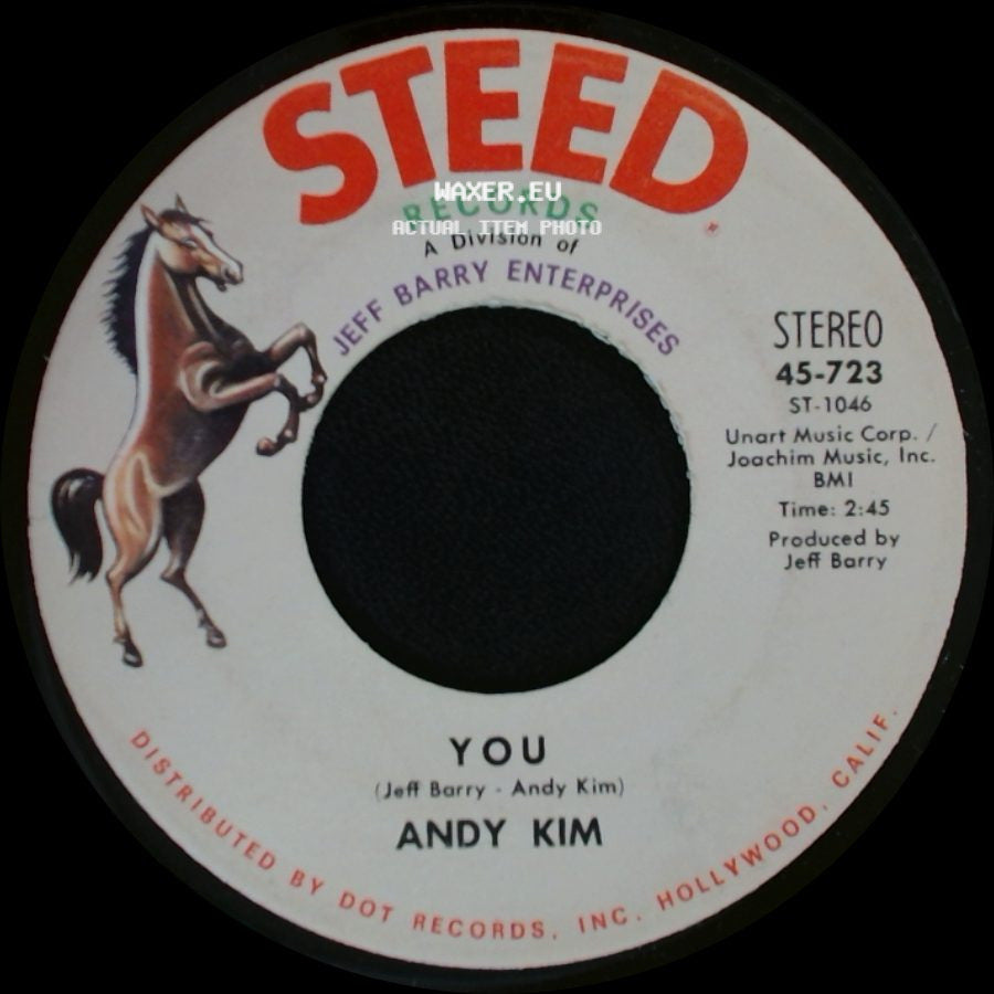 Andy Kim - You / A Friend In The City side A