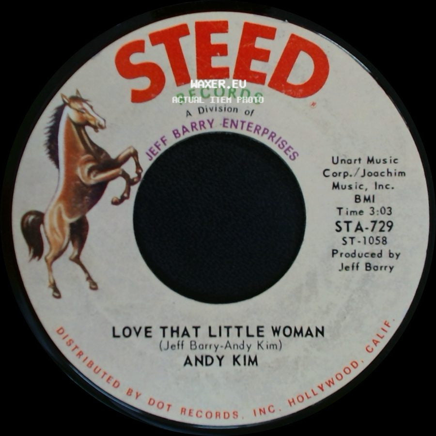 Andy Kim - Be My Baby / Love That Little Woman side B