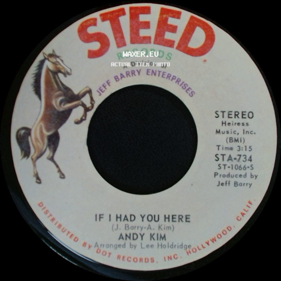 Andy Kim - If I Had You Here / I Been Moved side A