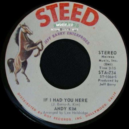 Andy Kim - If I Had You Here / I Been Moved side A
