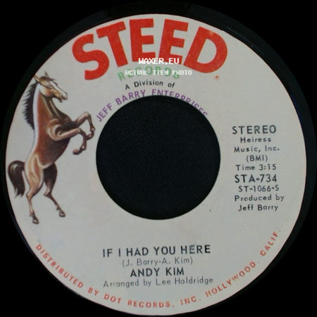 Andy Kim - I Been Moved / If I Had You Here side B