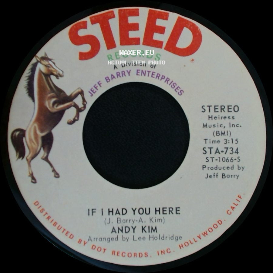 Andy Kim - I Been Moved / If I Had You Here side B