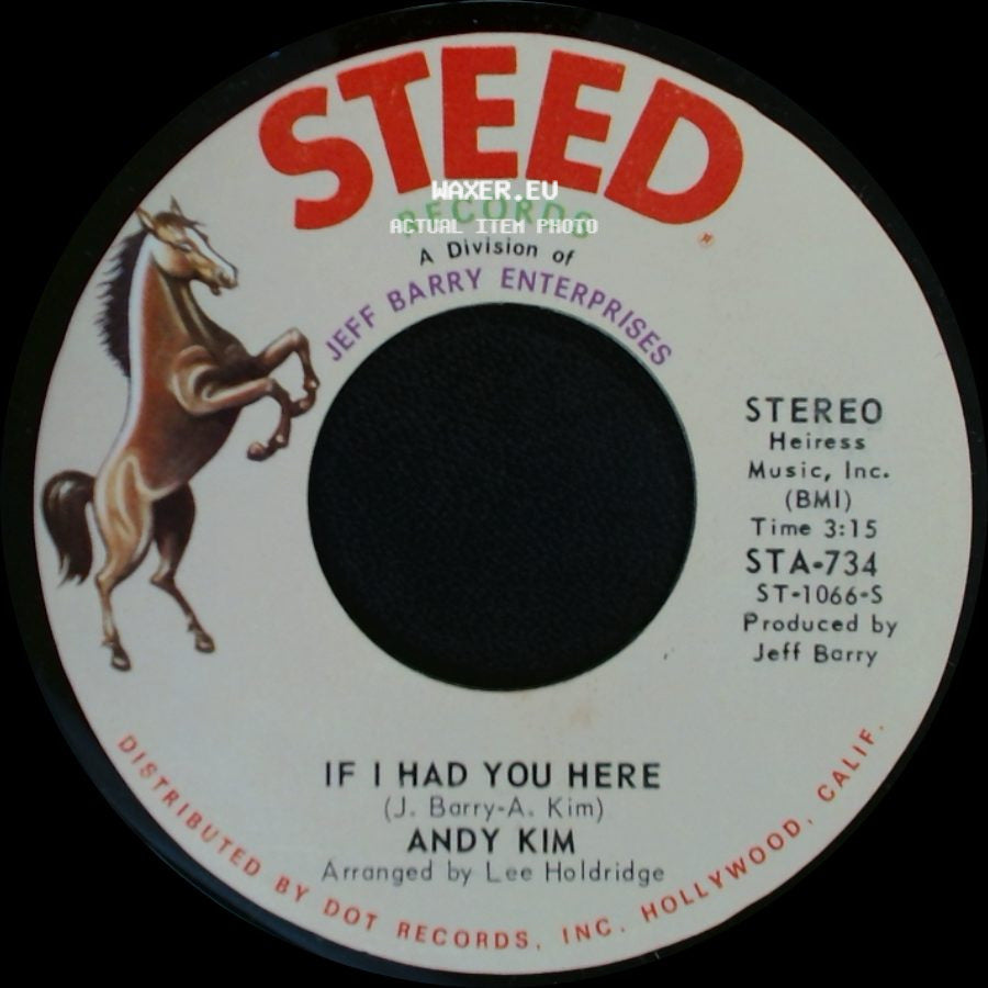 Andy Kim - If I Had You Here / I Been Moved side A