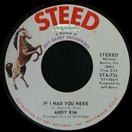Andy Kim - If I Had You Here / I Been Moved side A