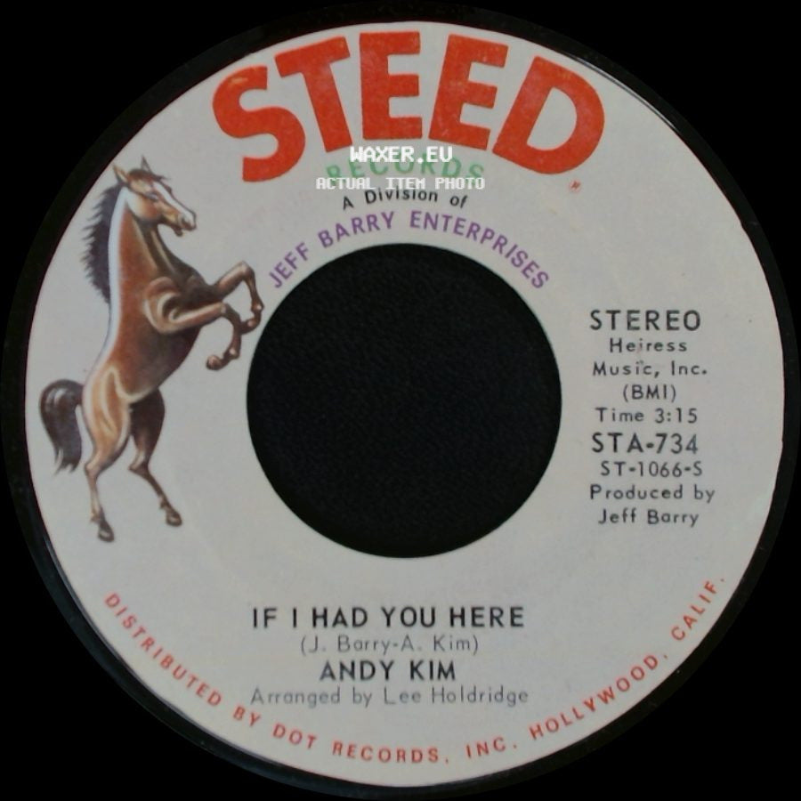 Andy Kim - If I Had You Here / I Been Moved side A