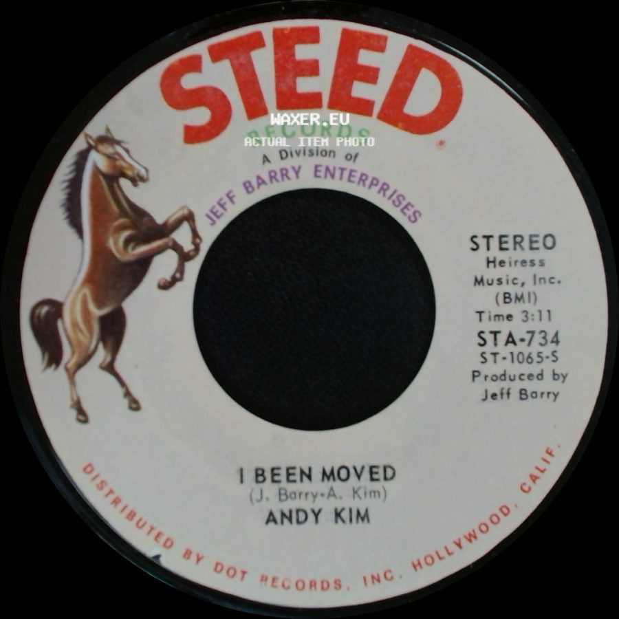 Andy Kim - If I Had You Here / I Been Moved side B