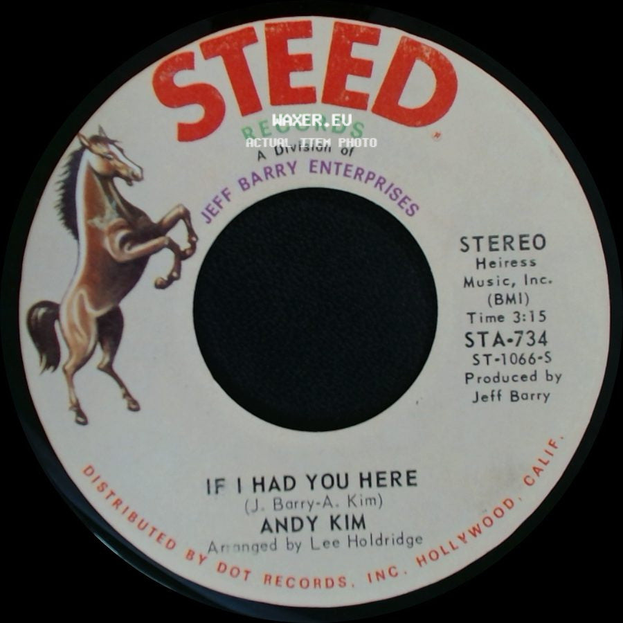 Andy Kim - I Been Moved / If I Had You Here side B