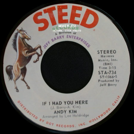 Andy Kim - If I Had You Here / I Been Moved side A