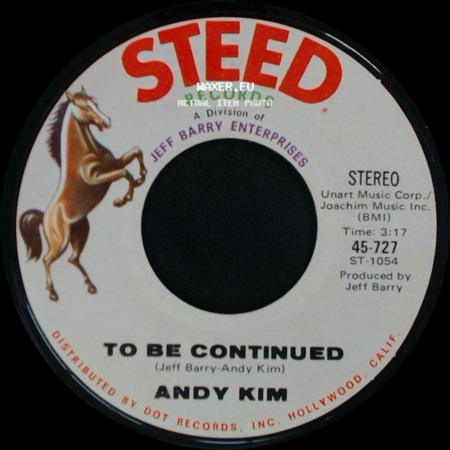 Andy Kim - To Be Continued / It's Your Life side A