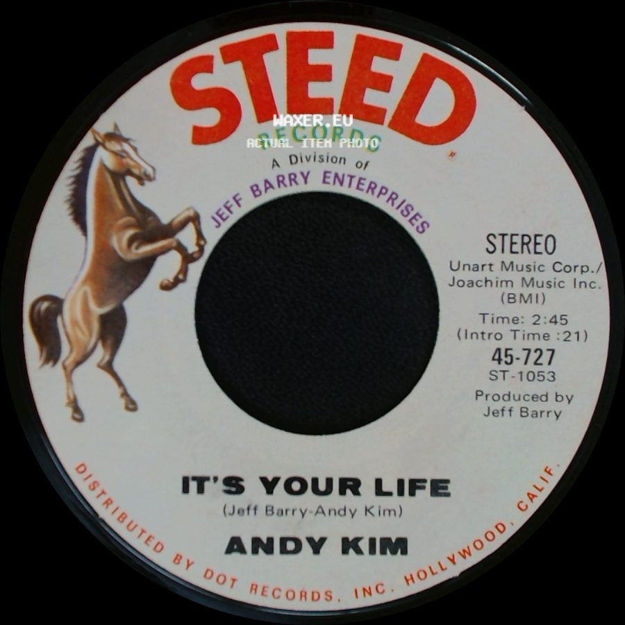 Andy Kim - To Be Continued / It's Your Life side B