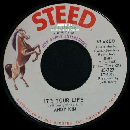 Andy Kim - To Be Continued / It's Your Life side B