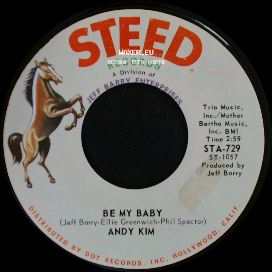 Andy Kim - Be My Baby / Love That Little Woman side A