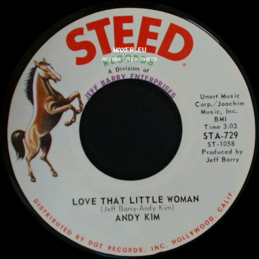Andy Kim - Be My Baby / Love That Little Woman side B