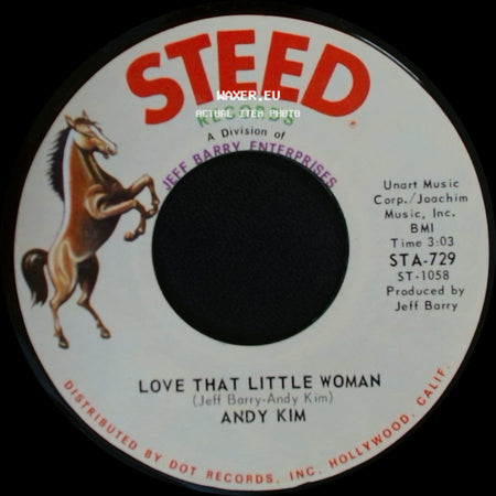 Andy Kim - Be My Baby / Love That Little Woman side B